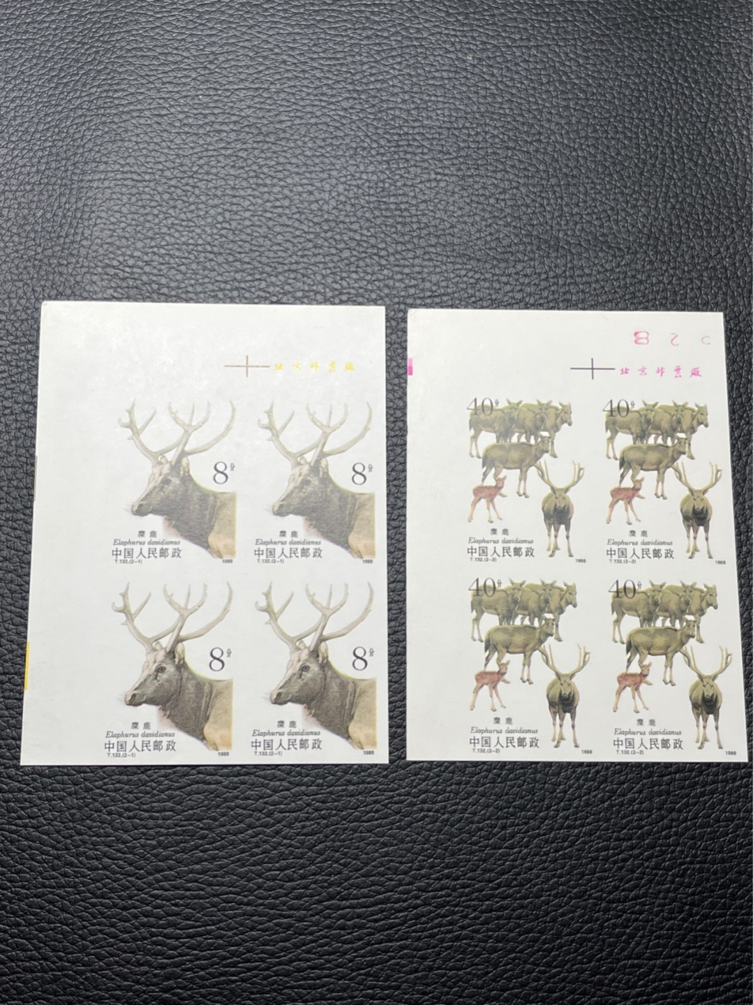 洪涛臻品 精选邮票限时拍卖第七十六期 T132无齿麋鹿新全    厂名➕数字4方连一组 ，软折如图，上品，紫光灯下有瑕疵。精品版货  精工细裁 ，全程带硅胶手套操作，喜欢的老板不要错过