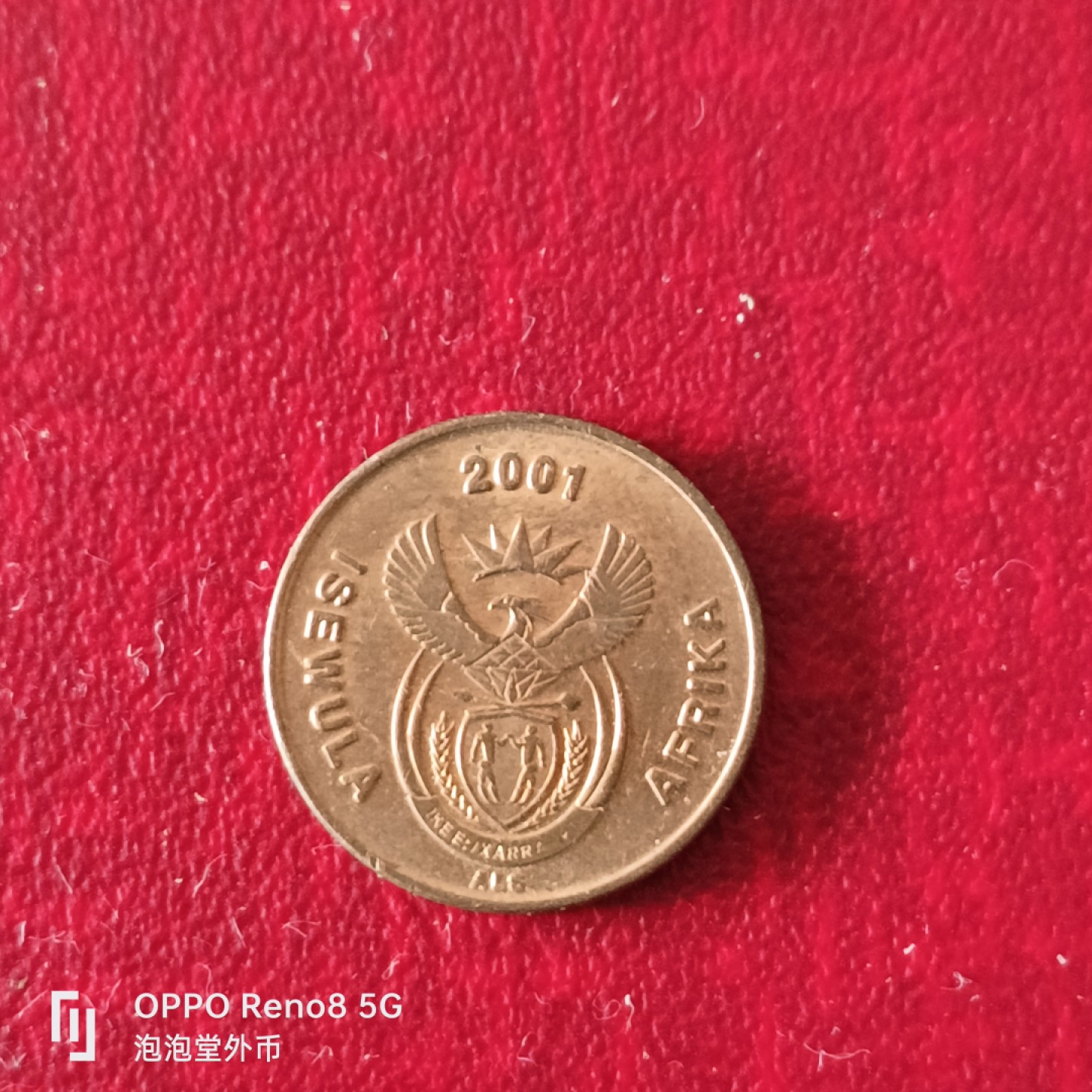 泡泡堂微拍第二十三幕精品硬币捡漏专场👿👿，零佣金，零押金，累计满二十元包邮 南非小鸟一C