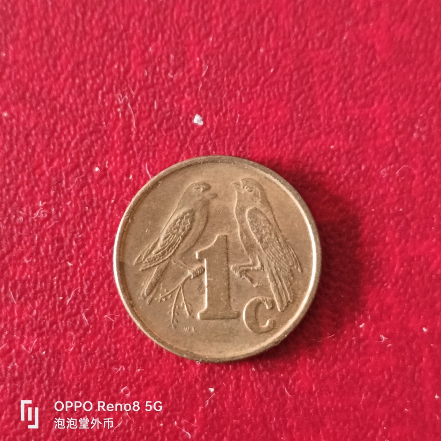 泡泡堂微拍第二十三幕精品硬币捡漏专场👿👿，零佣金，零押金，累计满二十元包邮 南非小鸟一C