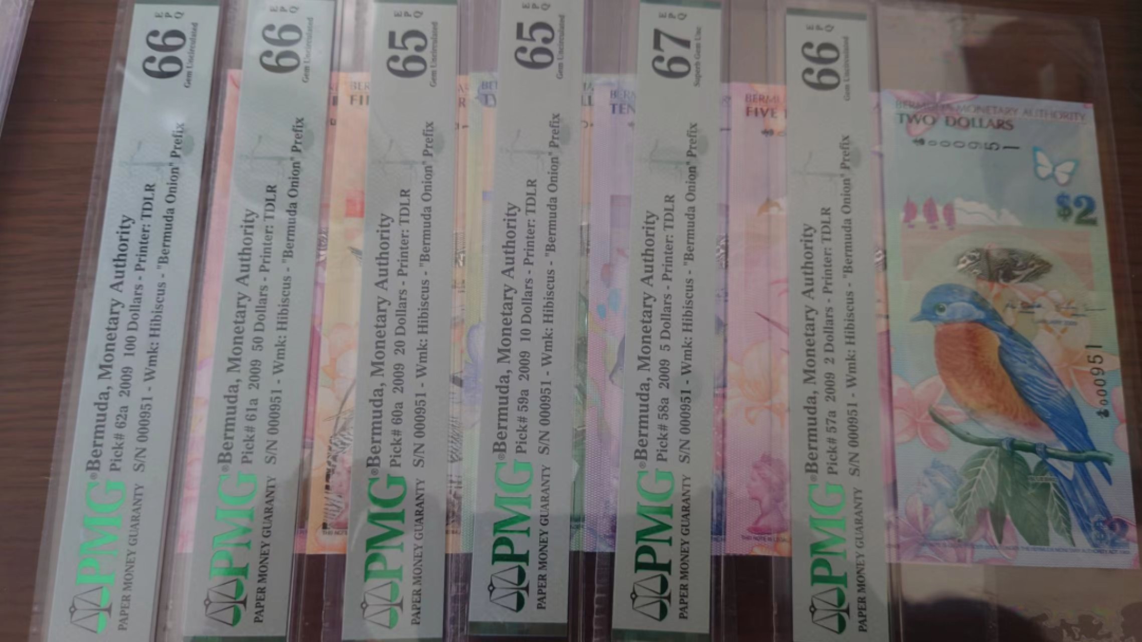 11.11日【囧羊收藏】双11评级币专场（总第48期暨2022年第五期） 2009年百慕大全同号 2-5-10-20-50-100 六张 PMG65-67E 