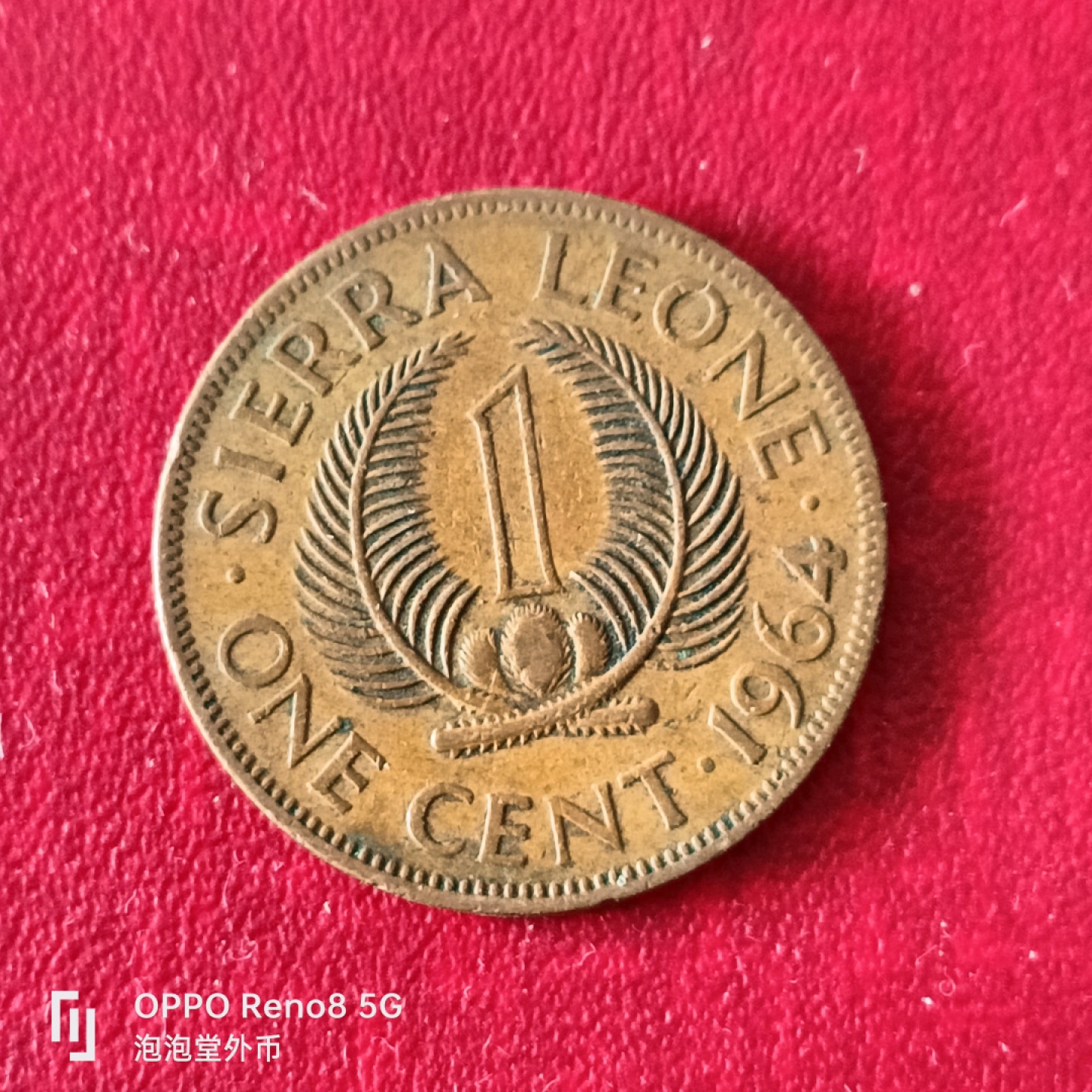 泡泡堂微拍第二十三幕精品硬币捡漏专场👿👿，零佣金，零押金，累计满二十元包邮 塞拉利昂64年大铜币。