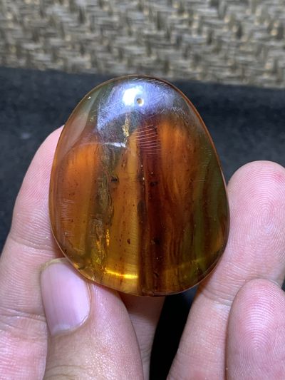 精美天然缅甸金棕红棕双色琥珀随形大吊坠一个 - 精美天然缅甸金棕红棕双色琥珀随形大吊坠一个