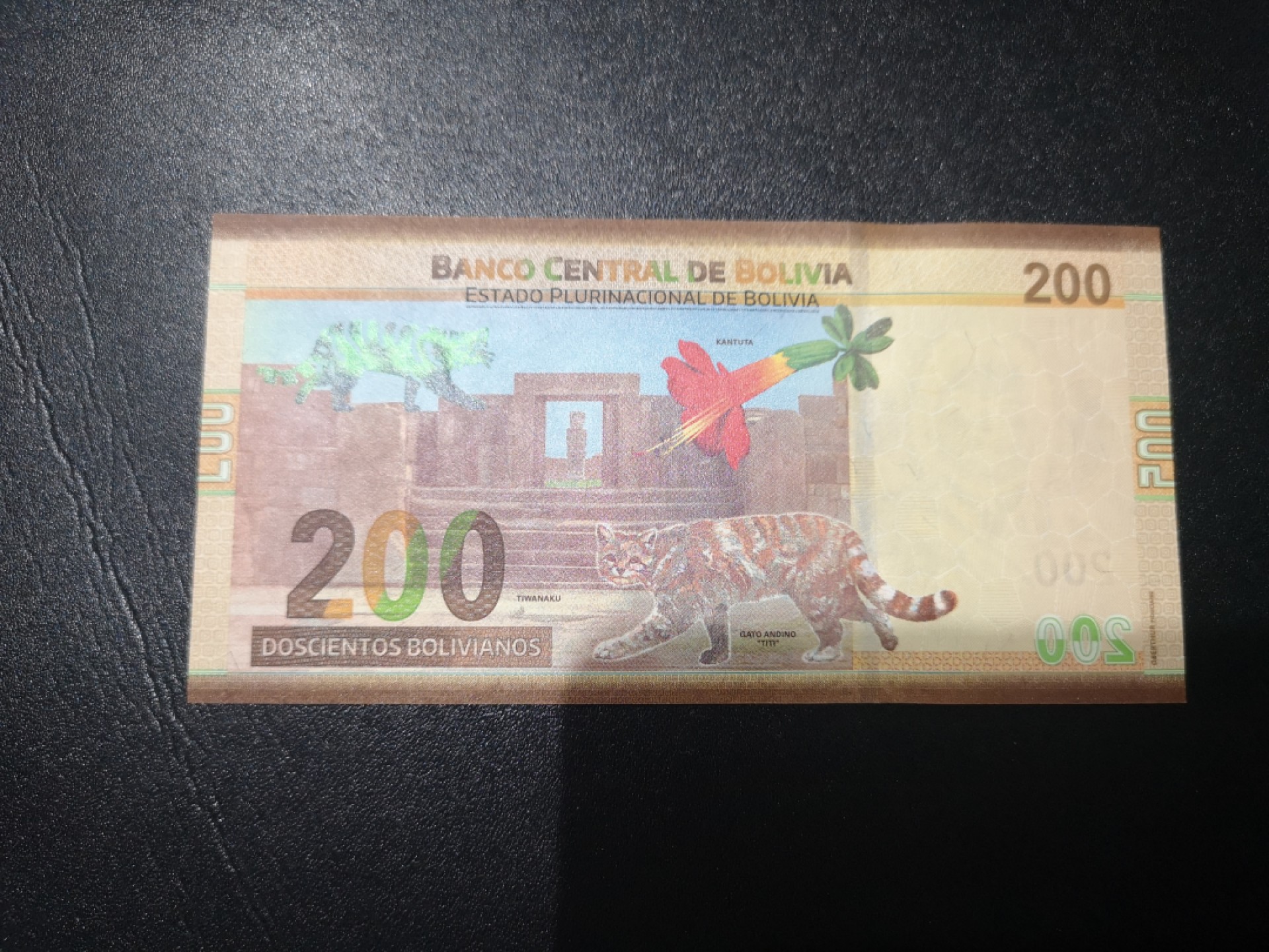 《外钞收藏家》第二百一十五期 玻利维亚200 A冠初版 HSP获奖钞 全新UNC