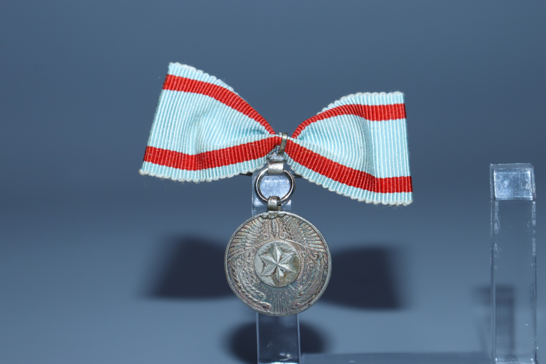 承乾国升网络专场-纪念章第四期 后援纪念章