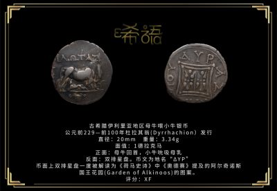 琋语藏币11月古典打制币群拍/第14期同步 - 古希腊伊利里亚地区母牛喂小牛银币