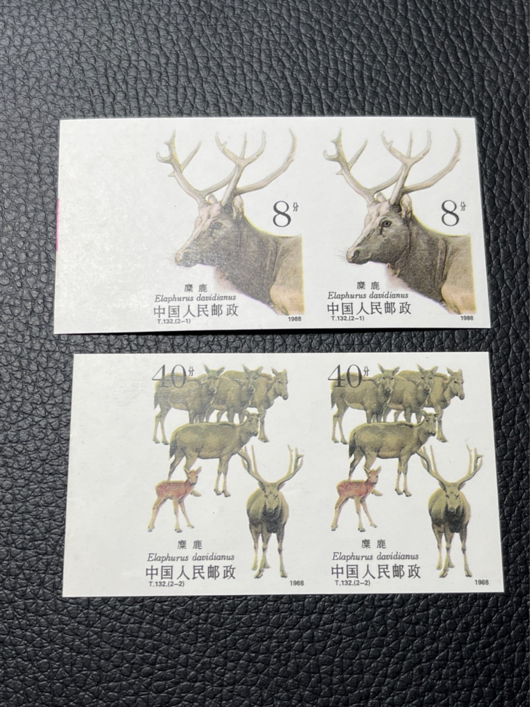 洪涛臻品 精选邮票限时拍卖第七十七期 T132无齿麋鹿新全    2连一组 ，软折如图，上上品，紫光灯下轻微瑕疵。精品版货  精工细裁 ，全程带硅胶手套操作，喜欢的老板不要错过
