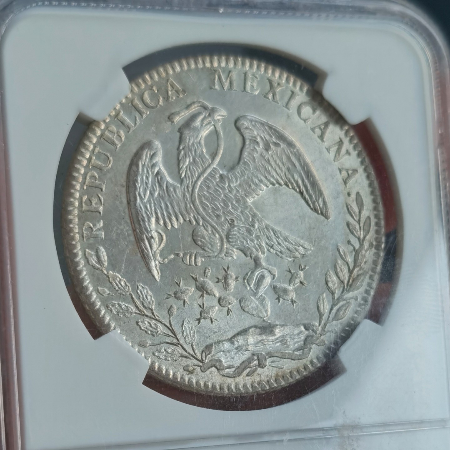 博洋堂双十一“璀璨之夜”精品专场暨第005期（全场包邮） NGC MS65 墨西哥1883年CN AM版花边鹰洋，NGC亚军