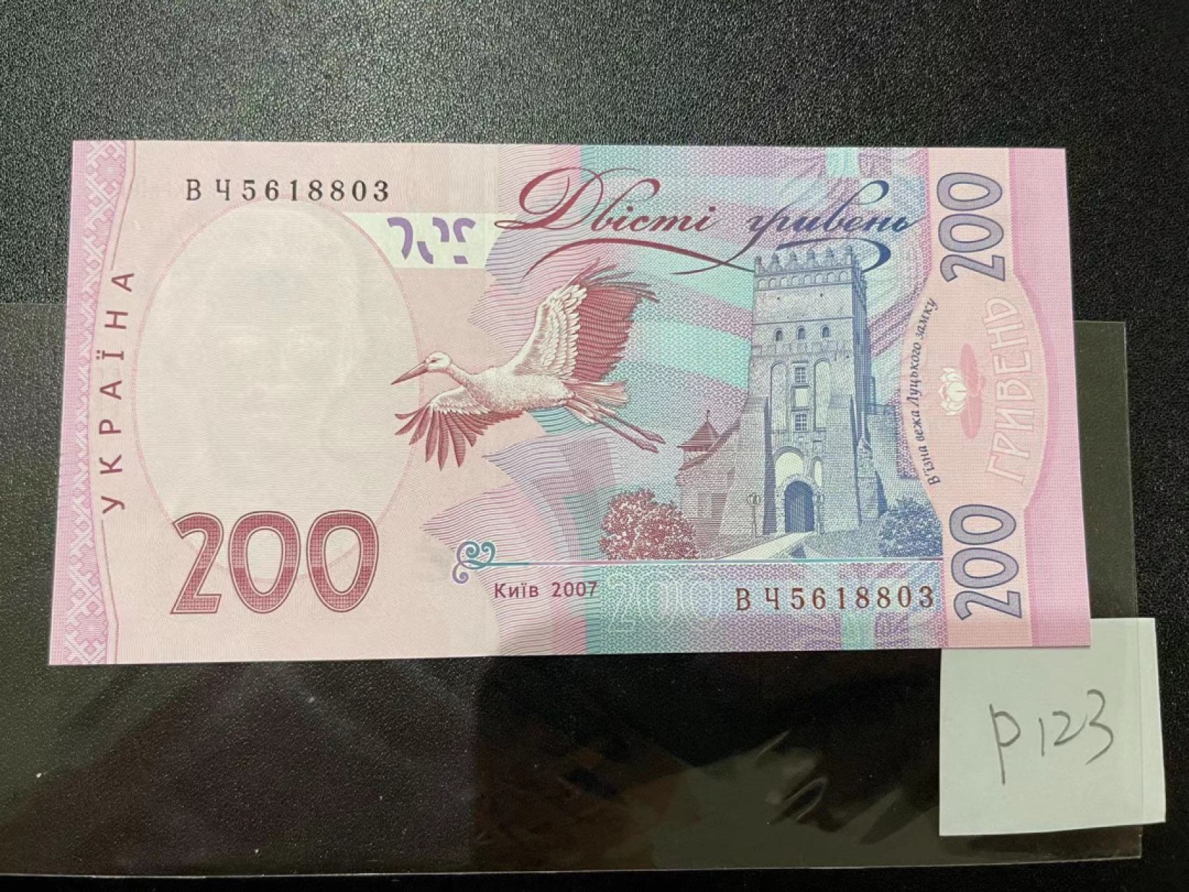 《外钞收藏家》第二百一十六期 乌克兰第五套纸币，大额1枚，2007年200格里夫纳，首发年份	P123  全新UNC