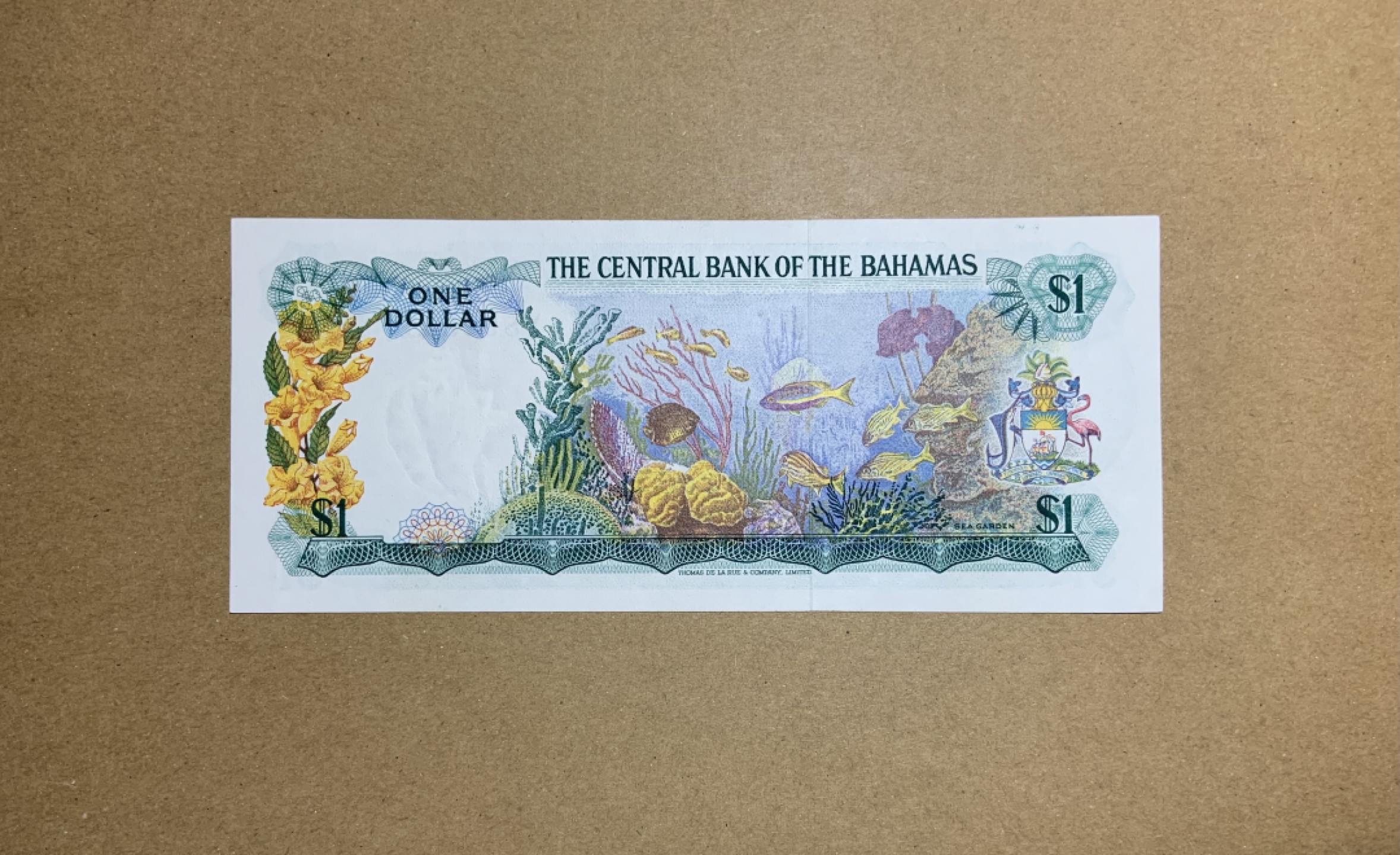 收藏联盟Quantum Auction 第207期拍卖 巴哈马1974年1元 品相AU 德纳罗彩背 热带鱼