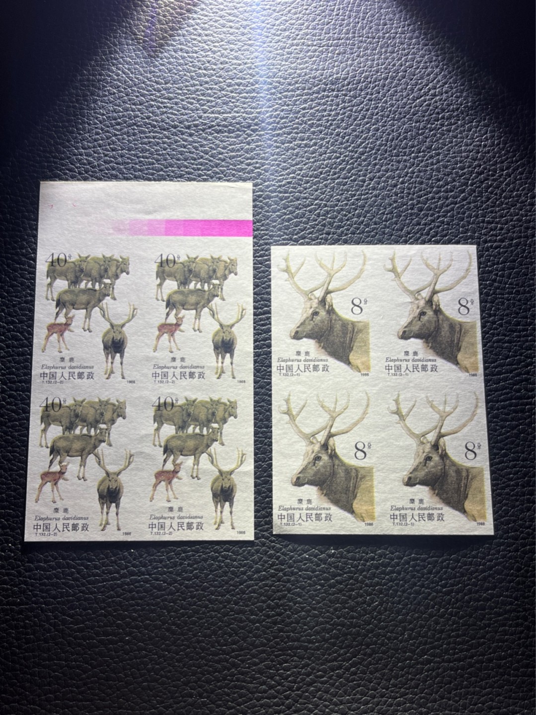 洪涛臻品 精选邮票限时拍卖第七十九期 T132无齿麋鹿新全    4方连一组 ，软折如图，上品，紫光灯下有瑕疵。精品版货  精工细裁 ，全程带硅胶手套操作，喜欢的老板不要错过