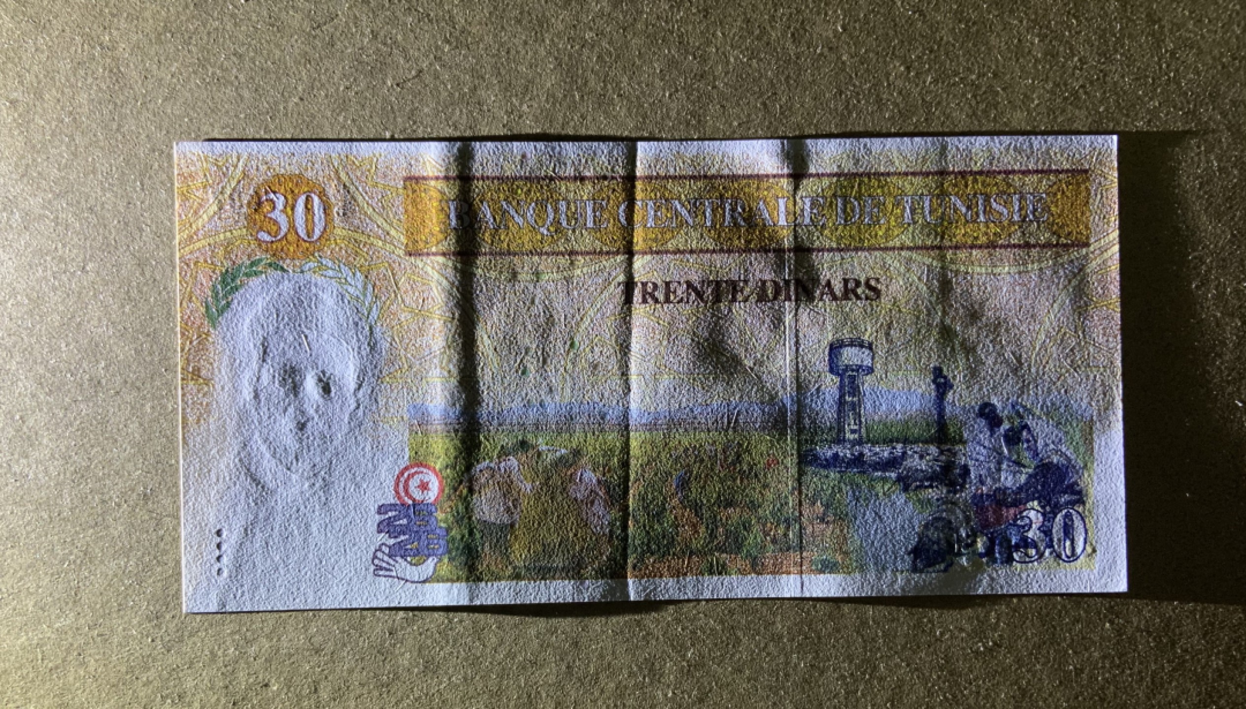 收藏联盟Quantum Auction 第207期拍卖 突尼斯1997年30第纳尔纪念钞 品相AU