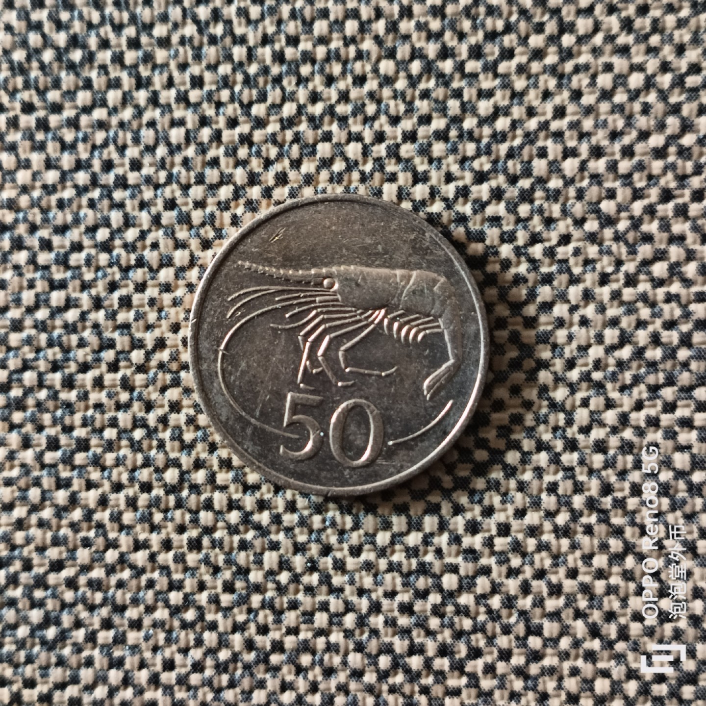 泡泡堂微拍第二十五幕精品硬币捡漏专场👿👿，零佣金，零押金，累计满二十元包邮 冰岛大虾