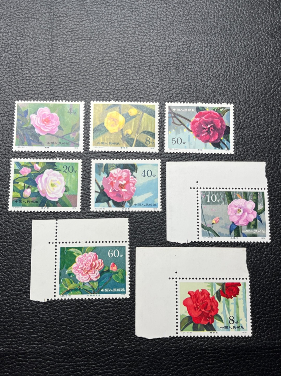 洪涛臻品 精选邮票限时拍卖第七十九期 T37山茶花新  缺-6  -10两枚，几乎全品，个别上品