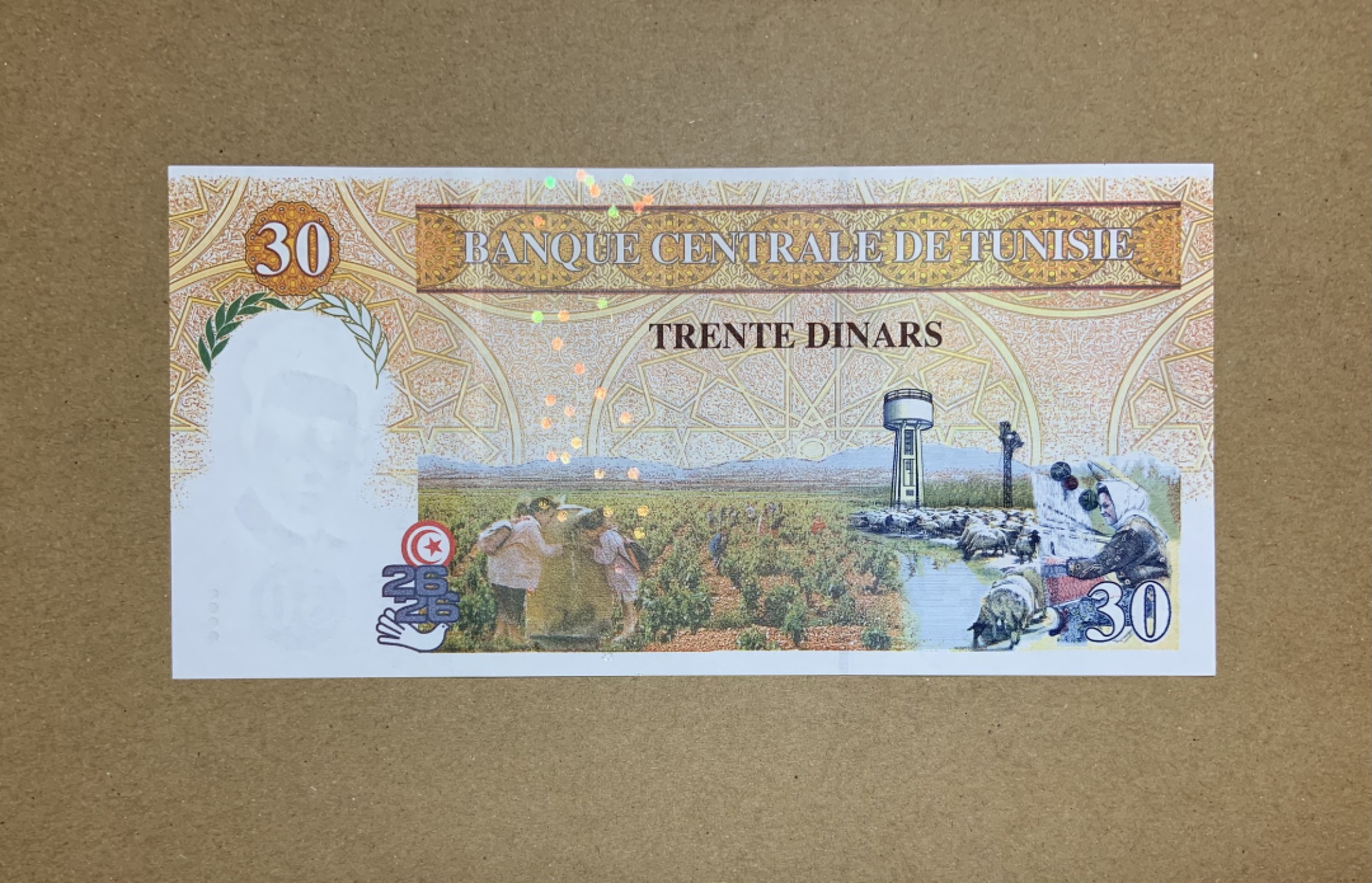 收藏联盟Quantum Auction 第207期拍卖 突尼斯1997年30第纳尔纪念钞 品相AU