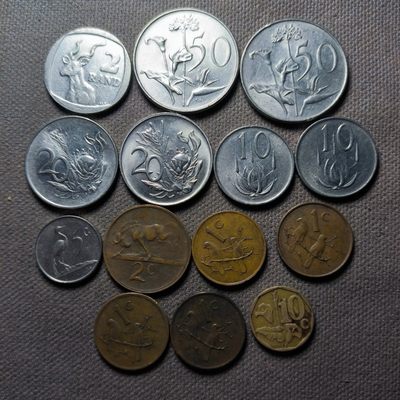 第二十九期 十一月第3拍  疫情原因发货推迟 - 11.3.4南非