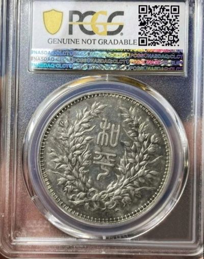 原味美品段祺瑞双旗纪念银币PCGS评级AU收藏 
