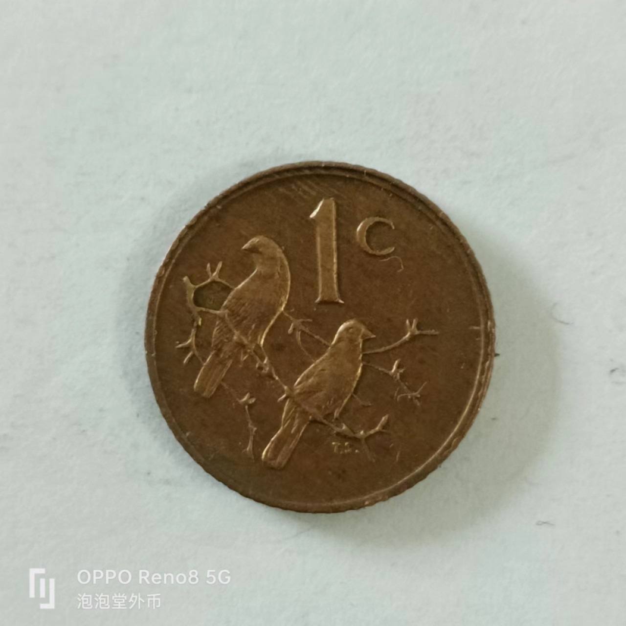 泡泡堂第144期  世界硬币专场（无押金，无佣金，捡漏，全场20包邮，偏远地区除外） 南非1C