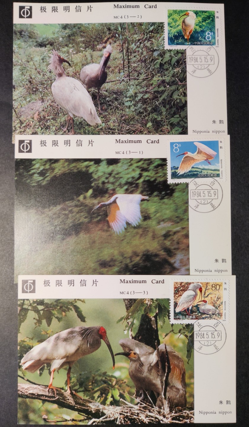 洪涛臻品批发群  精选邮票限时拍卖第九十一期 朱鹮极限片 品相非常好