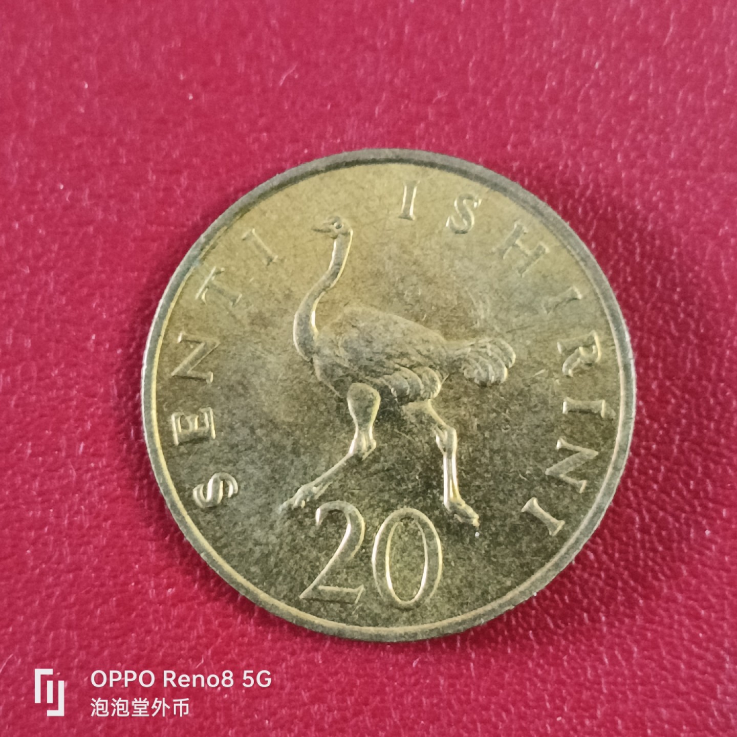 泡泡堂微拍第二十六幕精品硬币捡漏专场👿👿，零佣金，零押金，累计满二十元包邮 全新坦桑尼亚二十先令