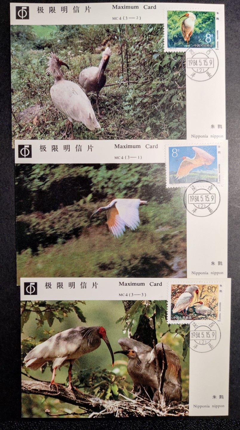 洪涛臻品批发群  精选邮票限时拍卖第九十一期 朱鹮极限片 品相非常好