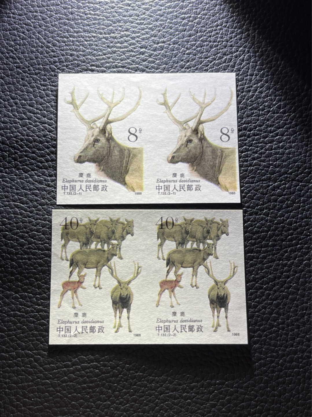洪涛臻品 精选邮票限时拍卖第八十期 T132无齿麋鹿新全    2连一组 ，软折如图，上品，紫光灯下有瑕疵。精品版货  精工细裁 ，全程带硅胶手套操作，喜欢的老板不要错过