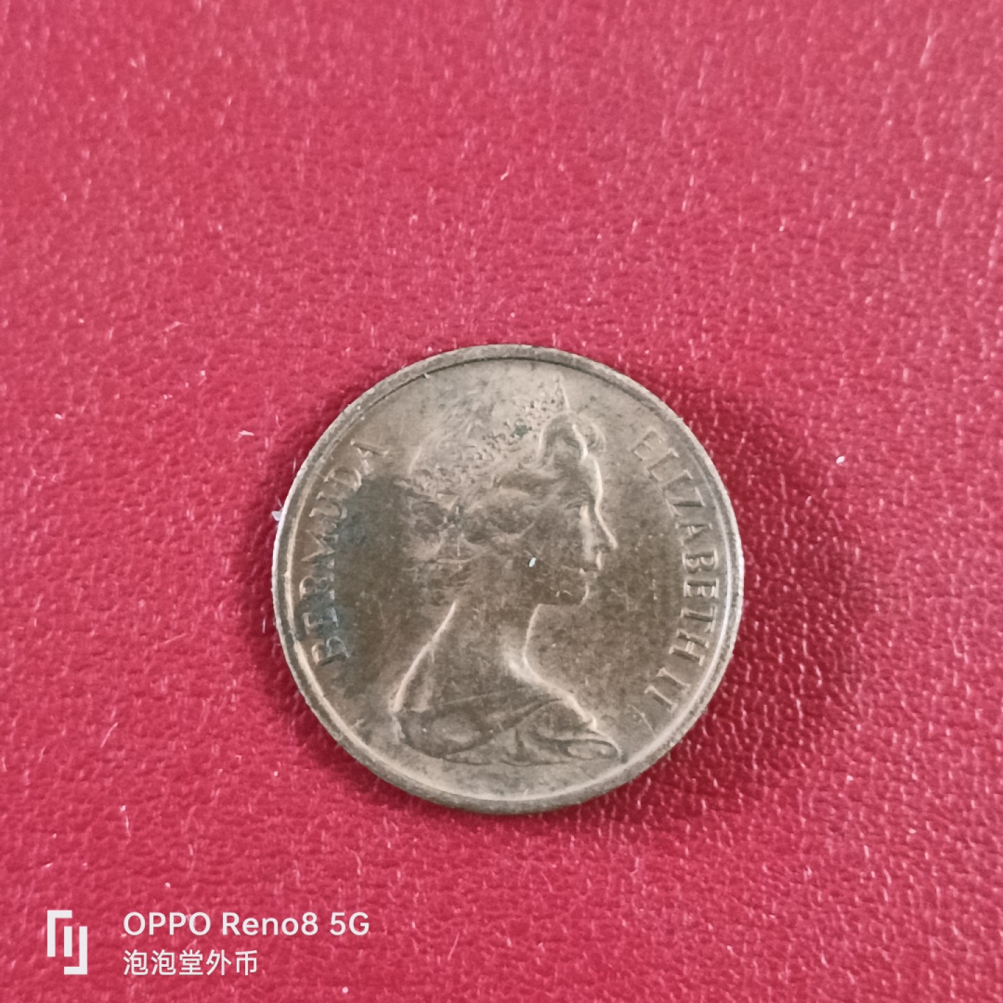 泡泡堂微拍第二十六幕精品硬币捡漏专场👿👿，零佣金，零押金，累计满二十元包邮 71年百慕大小猪。