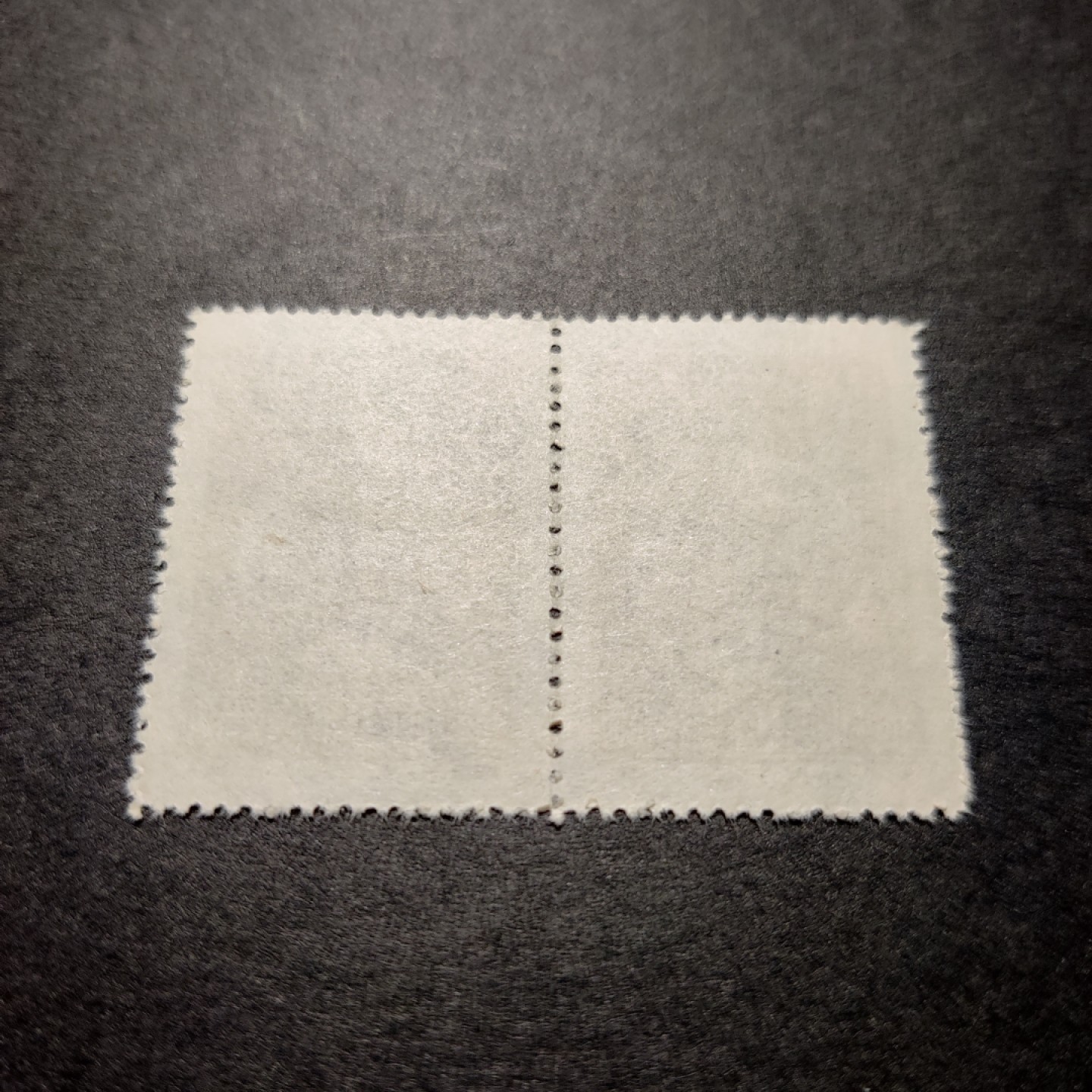 洪涛臻品 精选邮票限时拍卖第八十期 纪3工会双联 新全品 面艳背白票挺