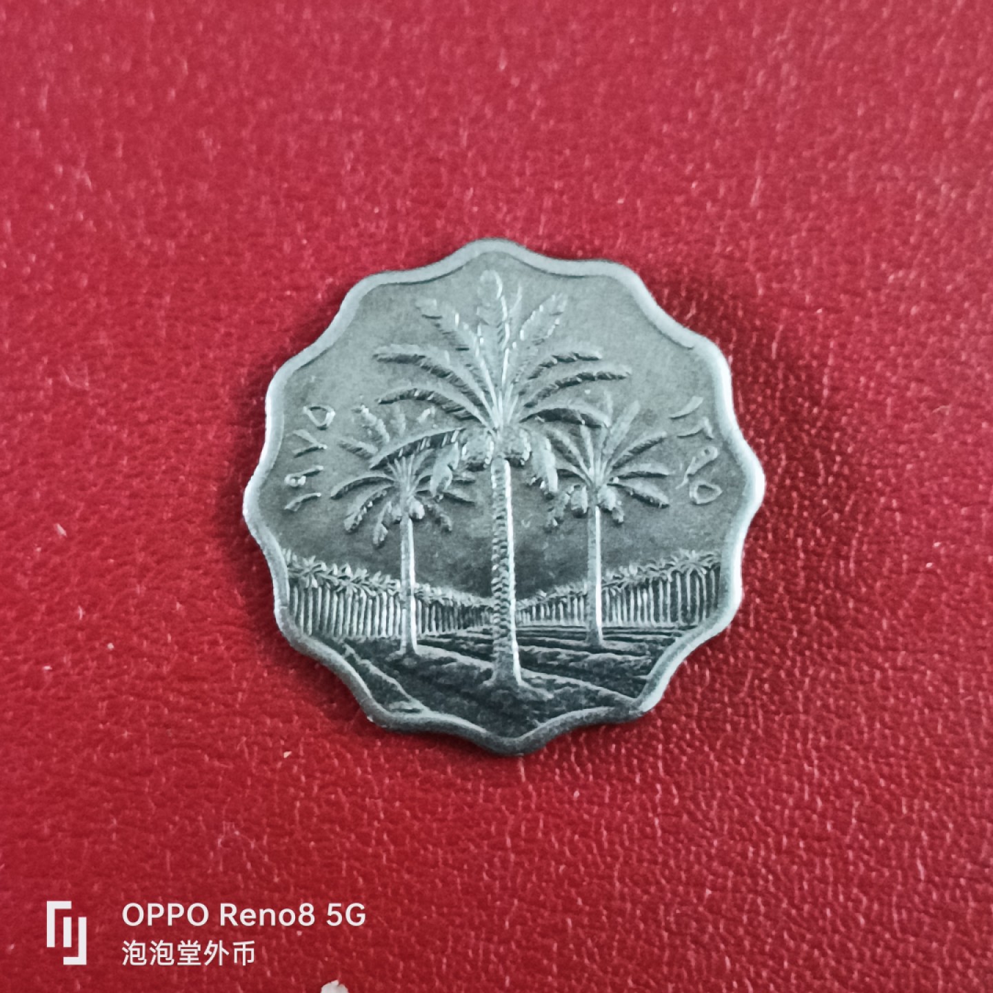 泡泡堂微拍第二十六幕精品硬币捡漏专场👿👿，零佣金，零押金，累计满二十元包邮 全新伊拉克小花边。