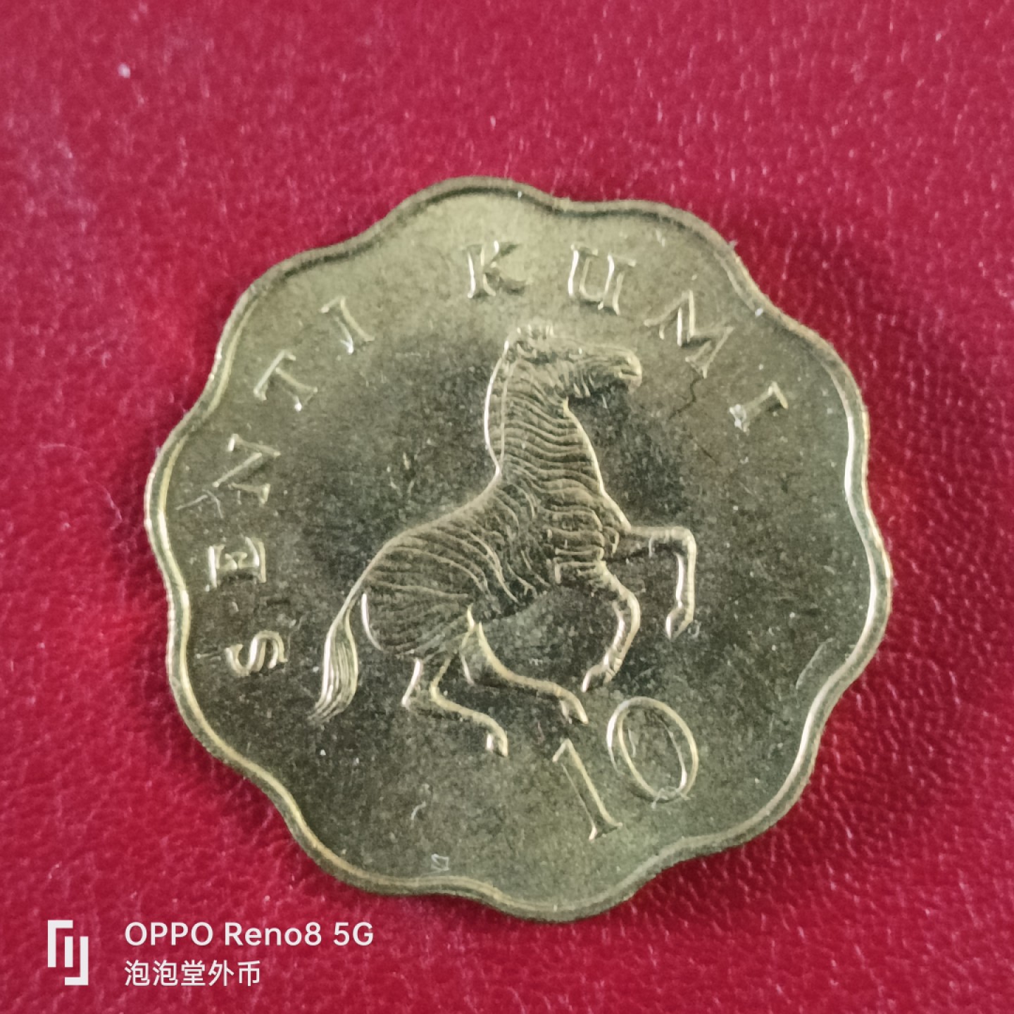 泡泡堂微拍第二十六幕精品硬币捡漏专场👿👿，零佣金，零押金，累计满二十元包邮 全新坦桑尼亚十先令