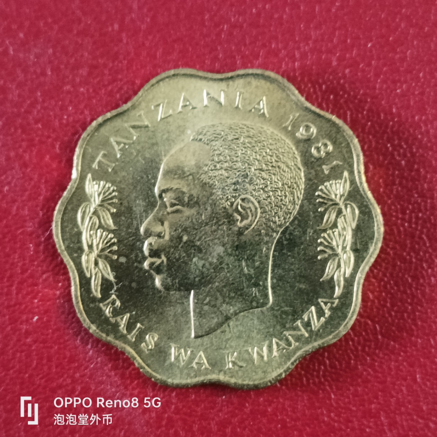 泡泡堂微拍第二十六幕精品硬币捡漏专场👿👿，零佣金，零押金，累计满二十元包邮 全新坦桑尼亚十先令