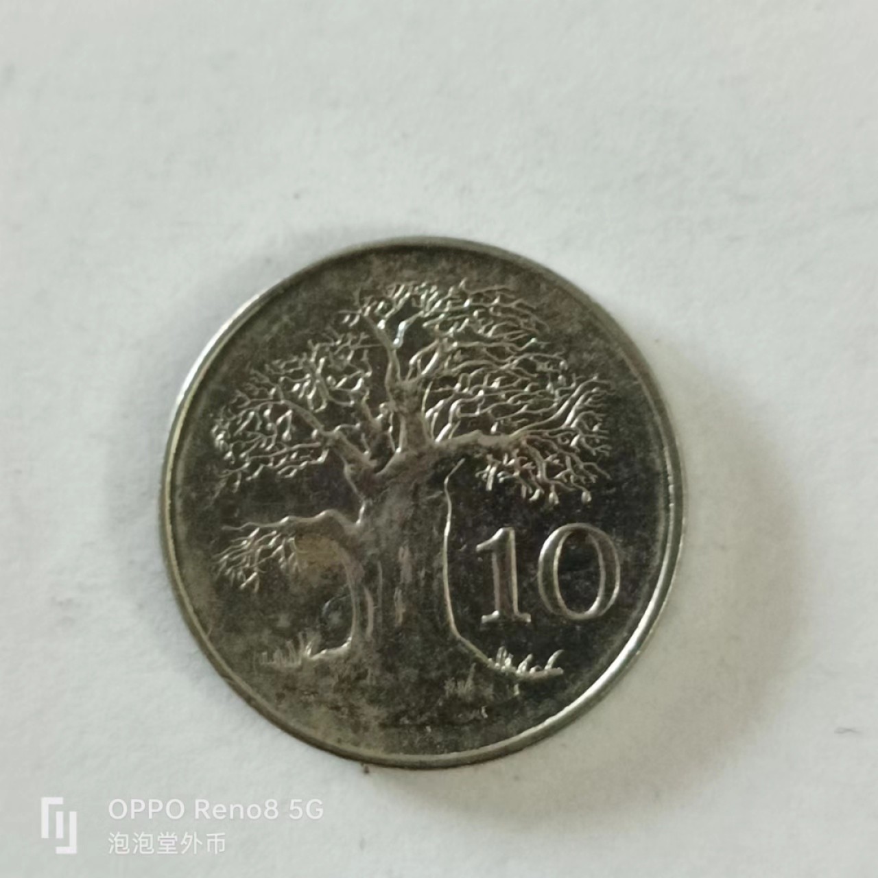 泡泡堂第144期  世界硬币专场（无押金，无佣金，捡漏，全场20包邮，偏远地区除外） 津巴布韦十分