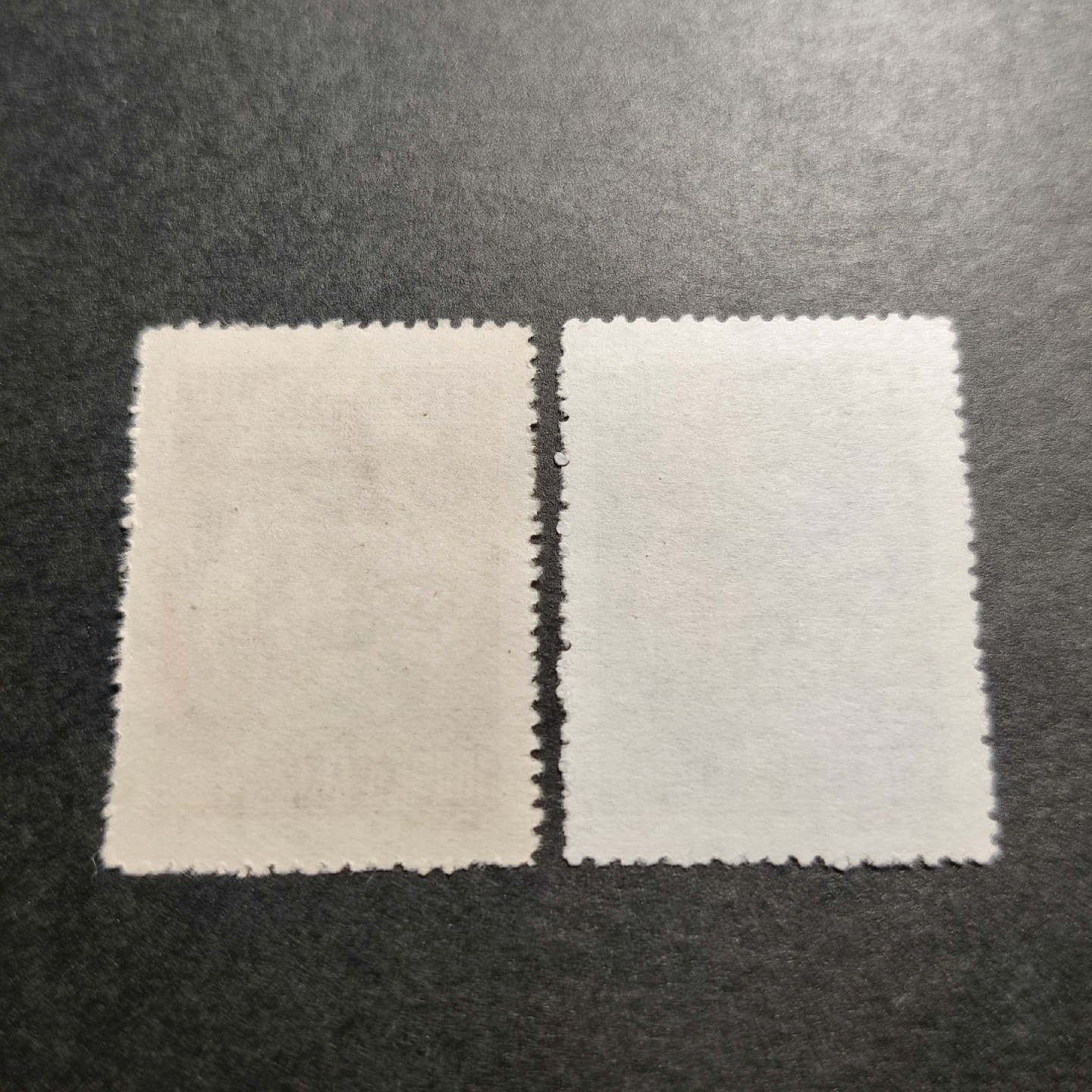 洪涛臻品批发群  精选邮票限时拍卖第八十一期 纪3工联2枚组 面艳背白票挺 完美过灯 版撕新票全品！