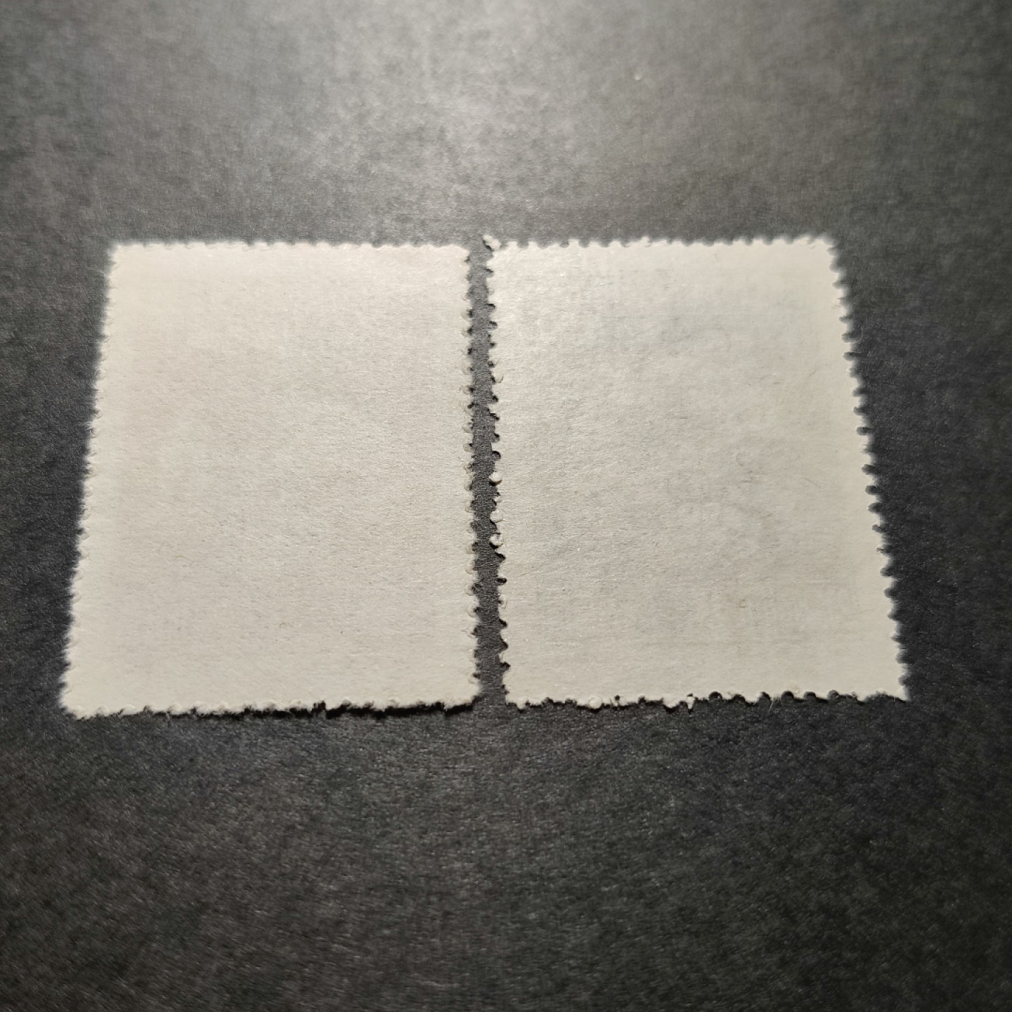 洪涛臻品批发群  精选邮票限时拍卖第九十一期 纪3工联东北贴用 红绿2枚组 面艳背白票挺 完美过灯 版撕新票全品！