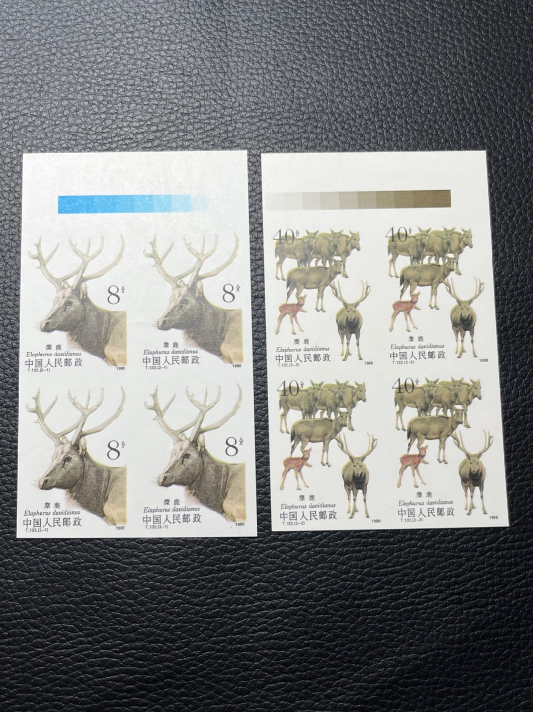 洪涛臻品批发群  精选邮票限时拍卖第八十二期 T132无齿麋鹿新全    色标4方连一组 ，软折如图，上品，紫光灯下有瑕疵。精品版货  精工细裁 ，全程带硅胶手套操作，喜欢的老板不要错过