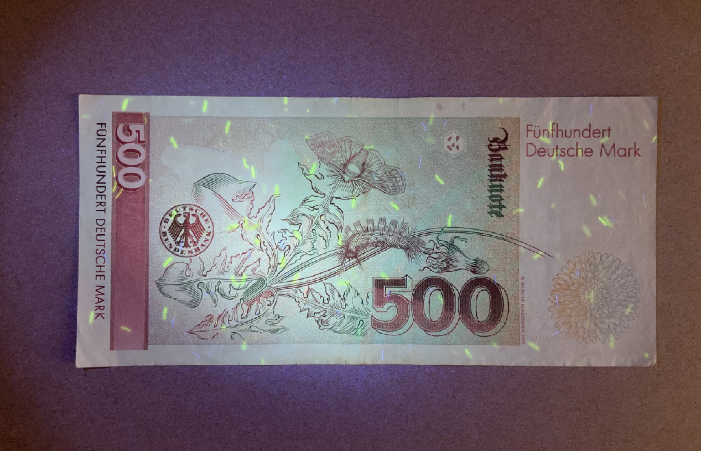 收藏联盟Quantum Auction 第208期拍卖(最后三拍新添测试钞评级币) 德国联邦1991年500马克 品相如图 原票 AA冠 生物学家 画家梅里安