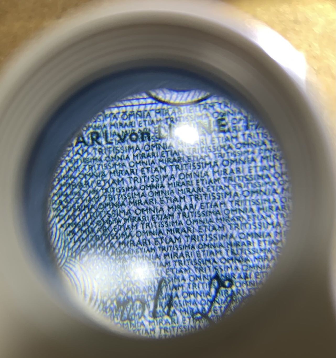 收藏联盟Quantum Auction 第208期拍卖(最后三拍新添测试钞评级币) 瑞典1989-2009年100克朗 品相AU- 不同版本 林奈 极致的文字缩印技术