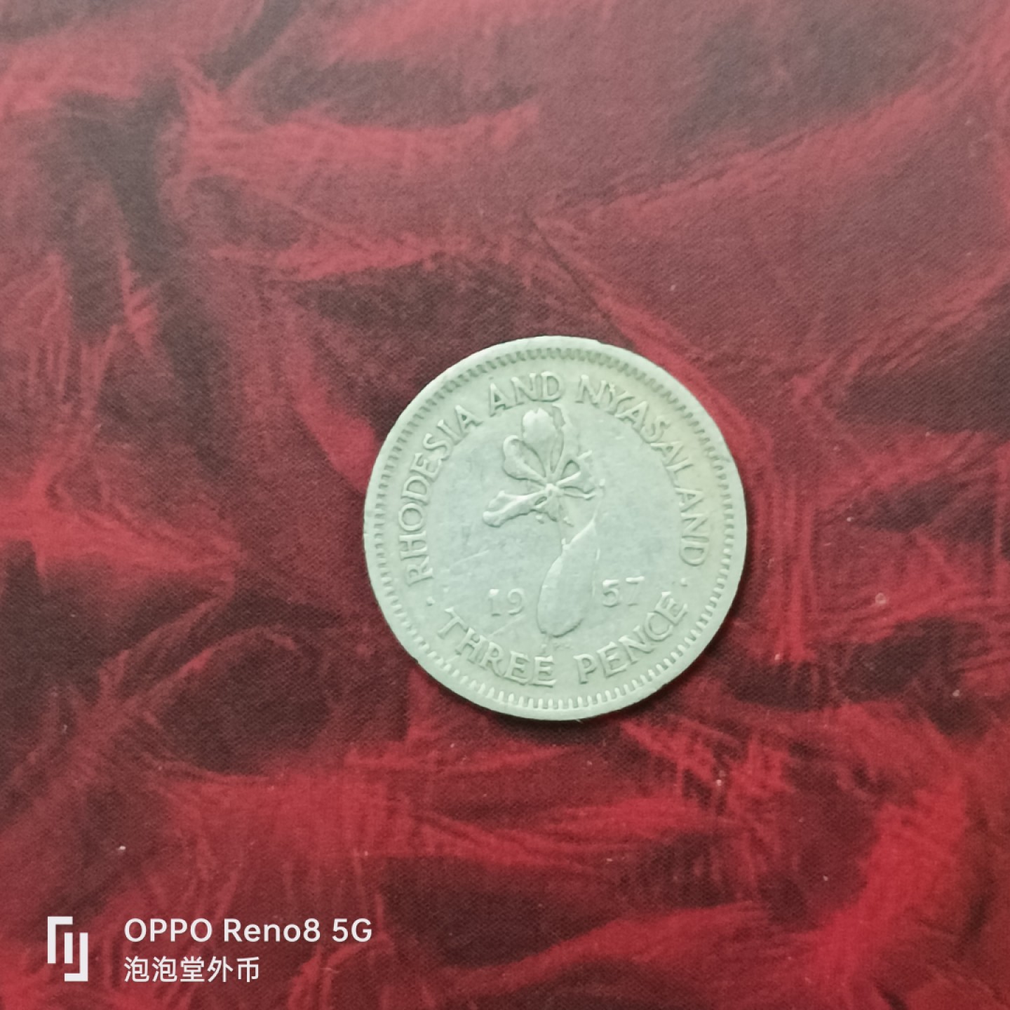 泡泡堂微拍第二十七幕精品硬币捡漏专场👿👿，零佣金，零押金，累计满二十元包邮 英属尼萨德兰三便士。