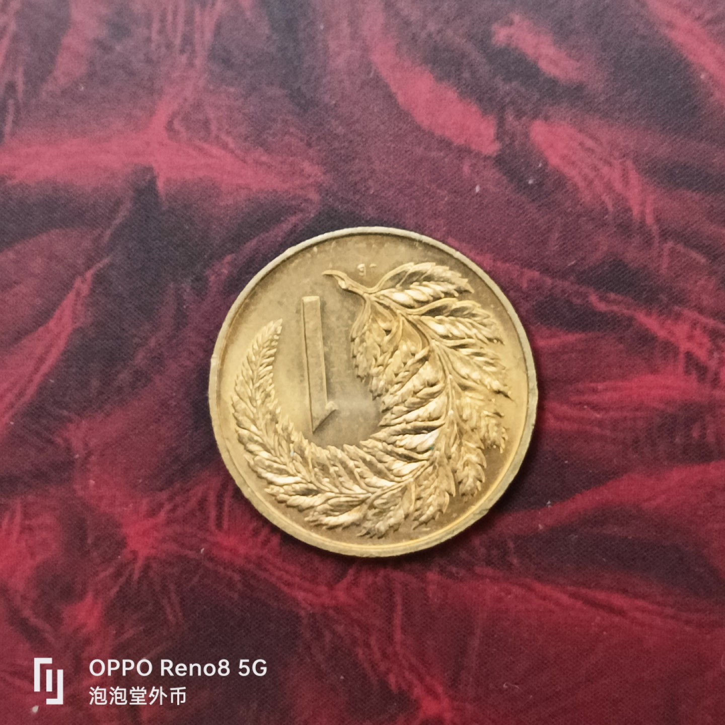 泡泡堂微拍第二十七幕精品硬币捡漏专场👿👿，零佣金，零押金，累计满二十元包邮 新西兰好品一分。