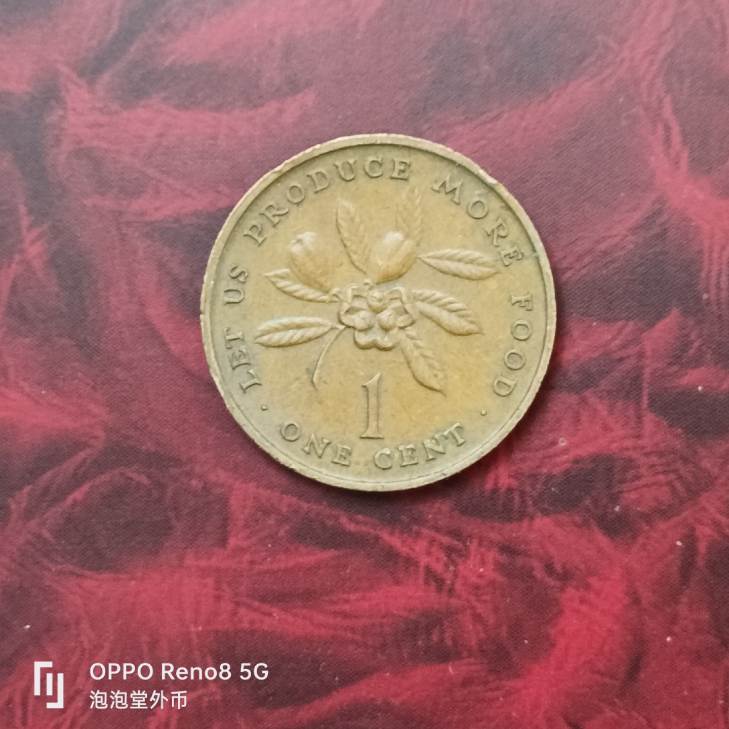 泡泡堂微拍第二十七幕精品硬币捡漏专场👿👿，零佣金，零押金，累计满二十元包邮 牙买加73年粮农一分。