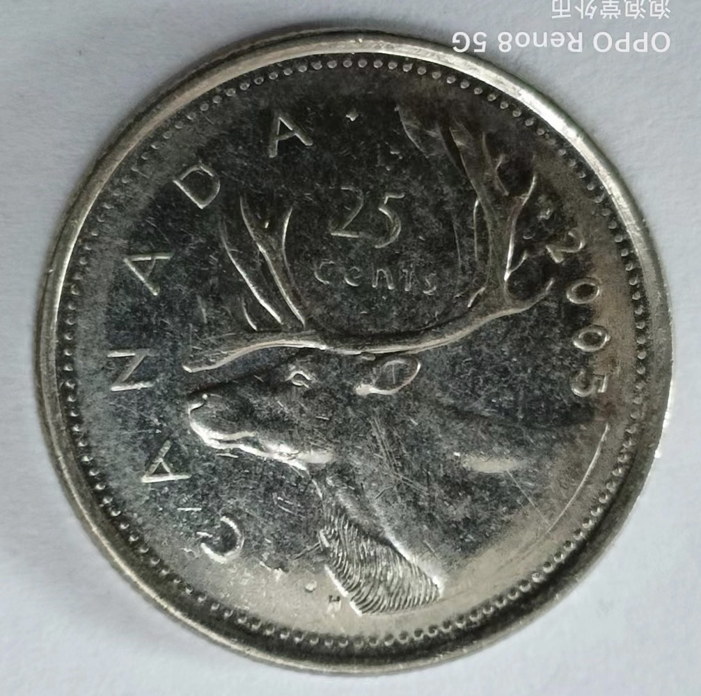 泡泡堂第145期  世界硬币专场（无押金，无佣金，捡漏，全场20包邮，偏远地区除外） 加拿大2005年25分