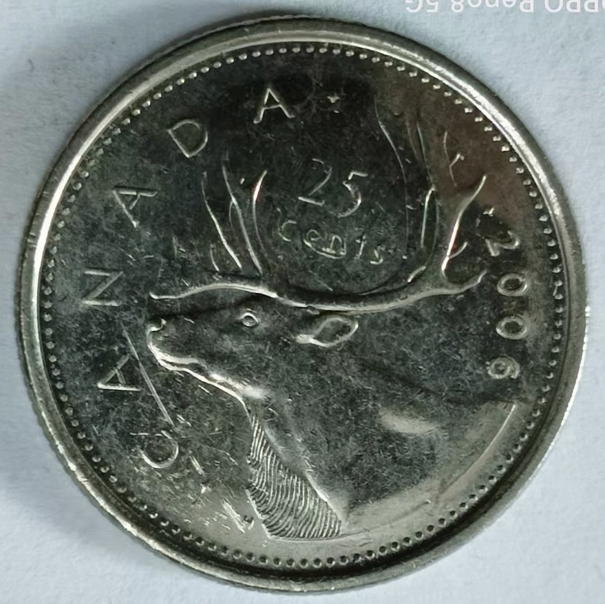 泡泡堂第145期  世界硬币专场（无押金，无佣金，捡漏，全场20包邮，偏远地区除外） 加拿大2006年25分