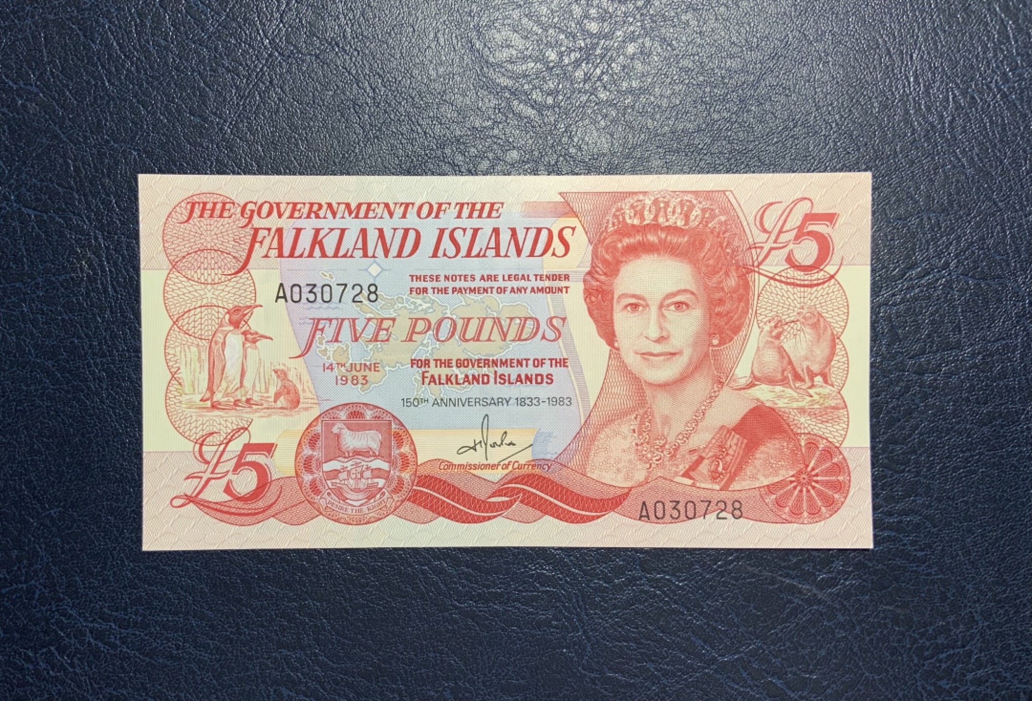 收藏联盟Quantum Auction 第208期拍卖(最后三拍新添测试钞评级币) 福克兰群岛1983年5镑 品相全新UNC 英国管辖150周年纪念