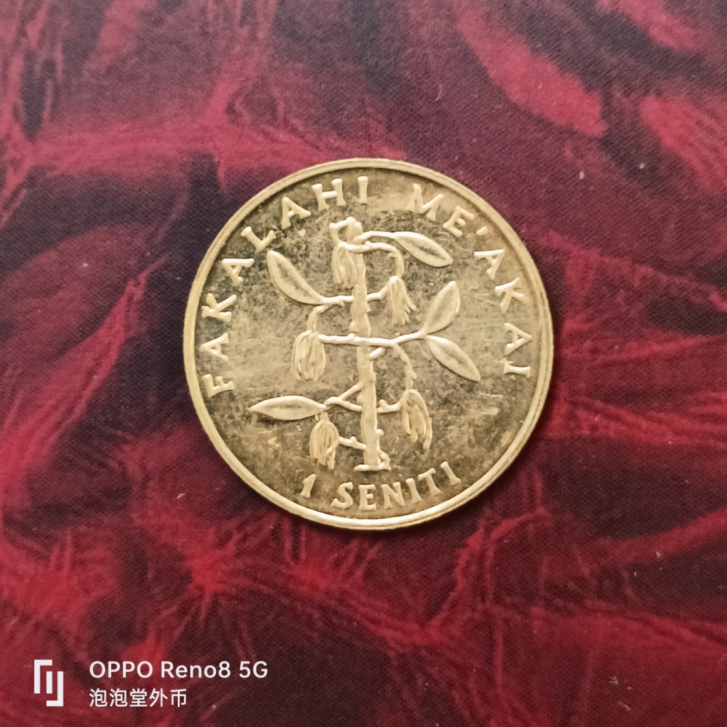 泡泡堂微拍第二十七幕精品硬币捡漏专场👿👿，零佣金，零押金，累计满二十元包邮 汤加小玉米