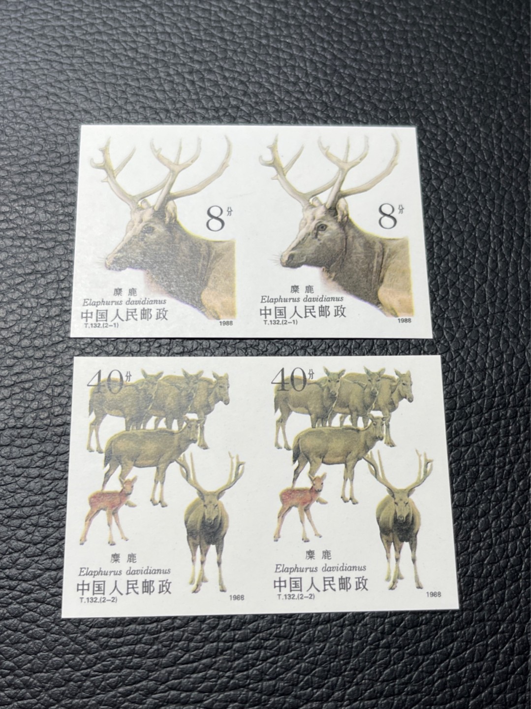 洪涛臻品批发群  精选邮票限时拍卖第八十二期 T132无齿麋鹿新全    2连一组 ，软折如图，肉眼几乎全品，紫光灯下有瑕疵。精品版货  精工细裁 ，全程带硅胶手套操作，喜欢的老板不要错过