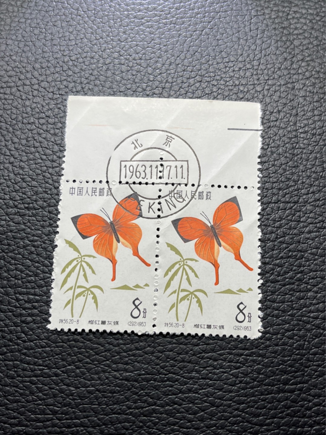 洪涛臻品批发群  精选邮票限时拍卖第八十三期 特56蝴蝶盖销  20-8  2连，中心大圆戳✦钢戳✦版撕票，原始压痕。面艳胶白，六珍之一，非常受欢迎的品种，新票价格高，盖销全品不要错过