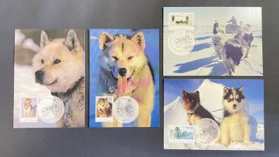 【第28期】莲池国际邮品拍卖 - 【澳属南极】1994 最后的哈士奇雪橇犬 官方邮资极限片 全新 全套