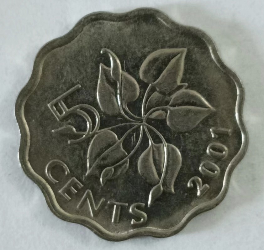 泡泡堂第146期  世界硬币专场（无押金，无佣金，捡漏，全场20包邮，偏远地区除外） 斯威士兰五分