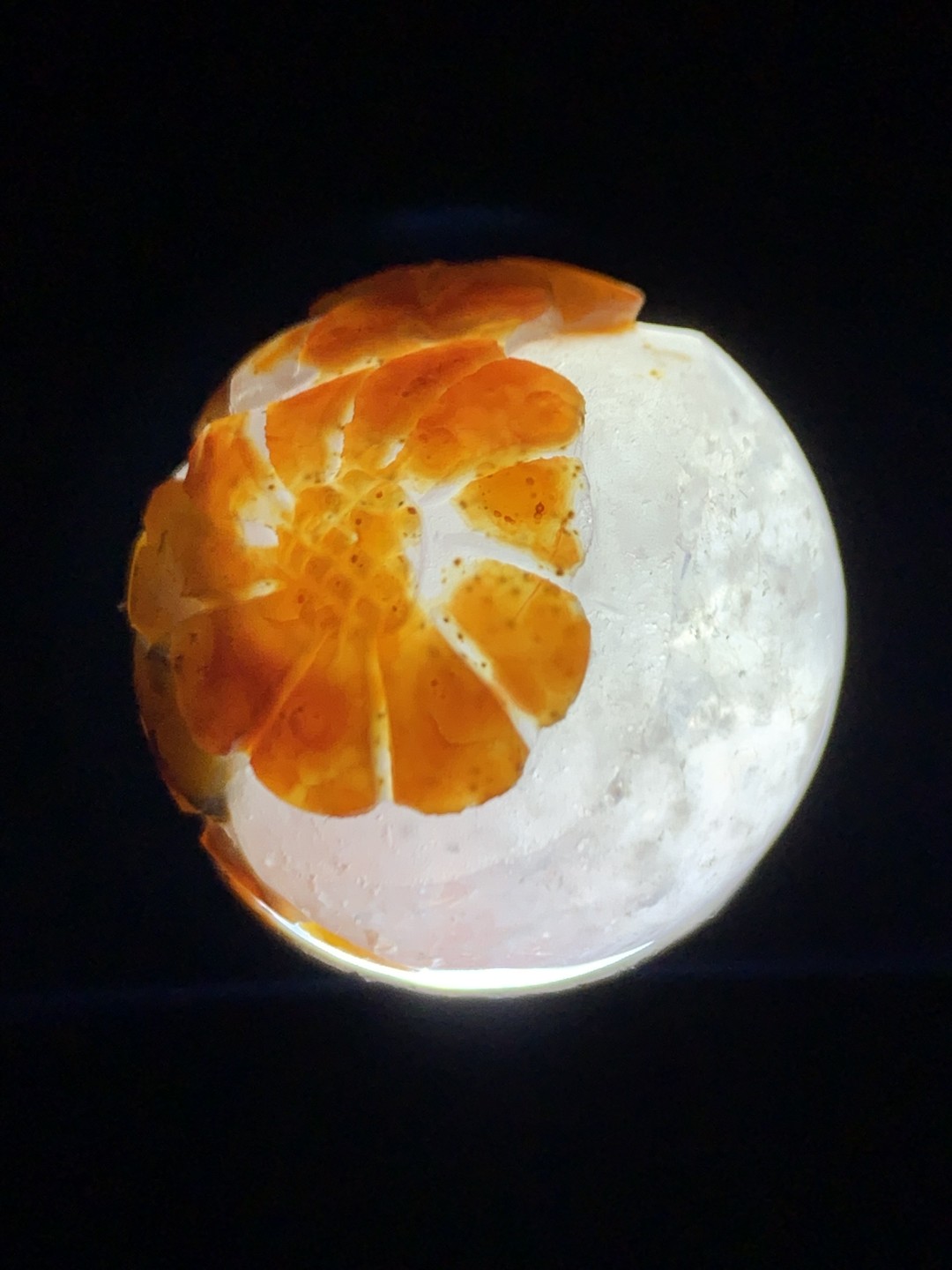精美冰飘亚光战国红玛瑙巧雕太阳花珠一个，