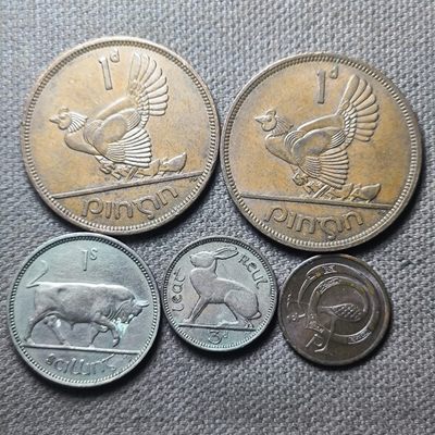 第三十期 十一月第4拍 疫情原因发货推迟 - 11.4.4爱尔兰