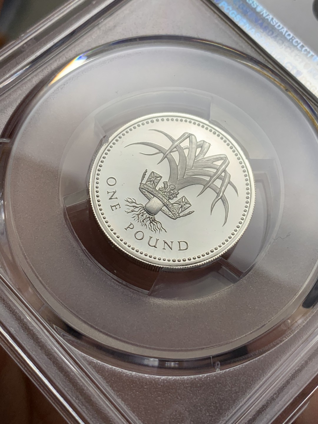 《竞宝斋》第115场-周日，周一 ，2场连拍（全场包邮） PCGS PR68DCAM 1985年英国精制1磅银币 威尔士背